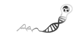 hsrcongress